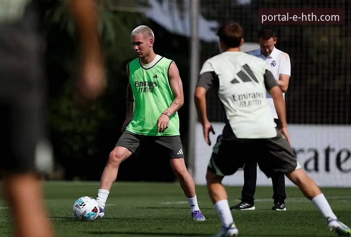 天才陨落与战术革新：帕尼切利伤退引发的阿根廷锋线抉择